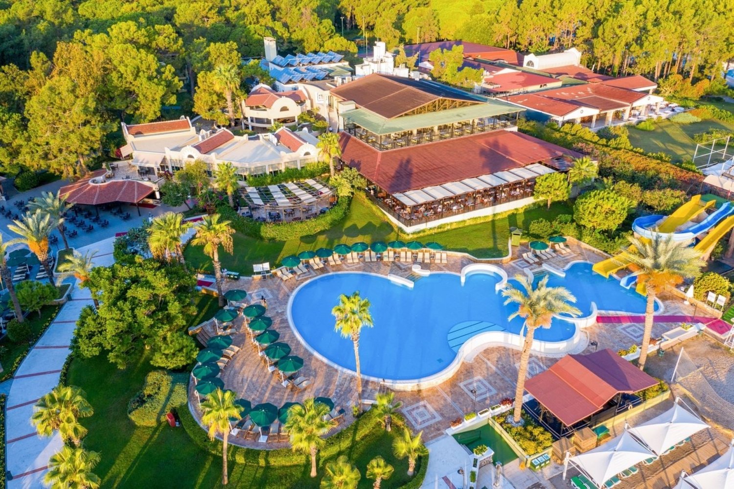 Gypsophila Club Marine image 2