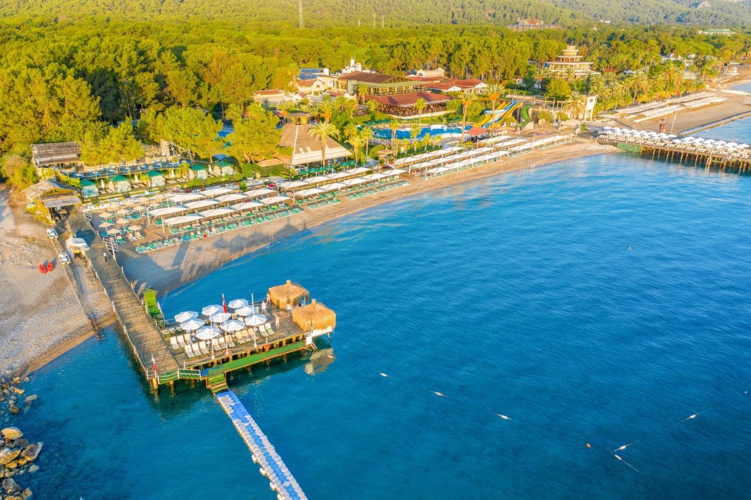 Gypsophila Club Marine image 1