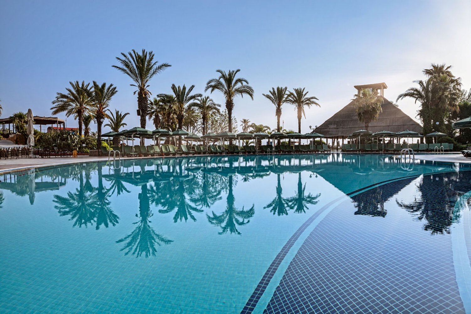 Gypsophila Club Marine image 3