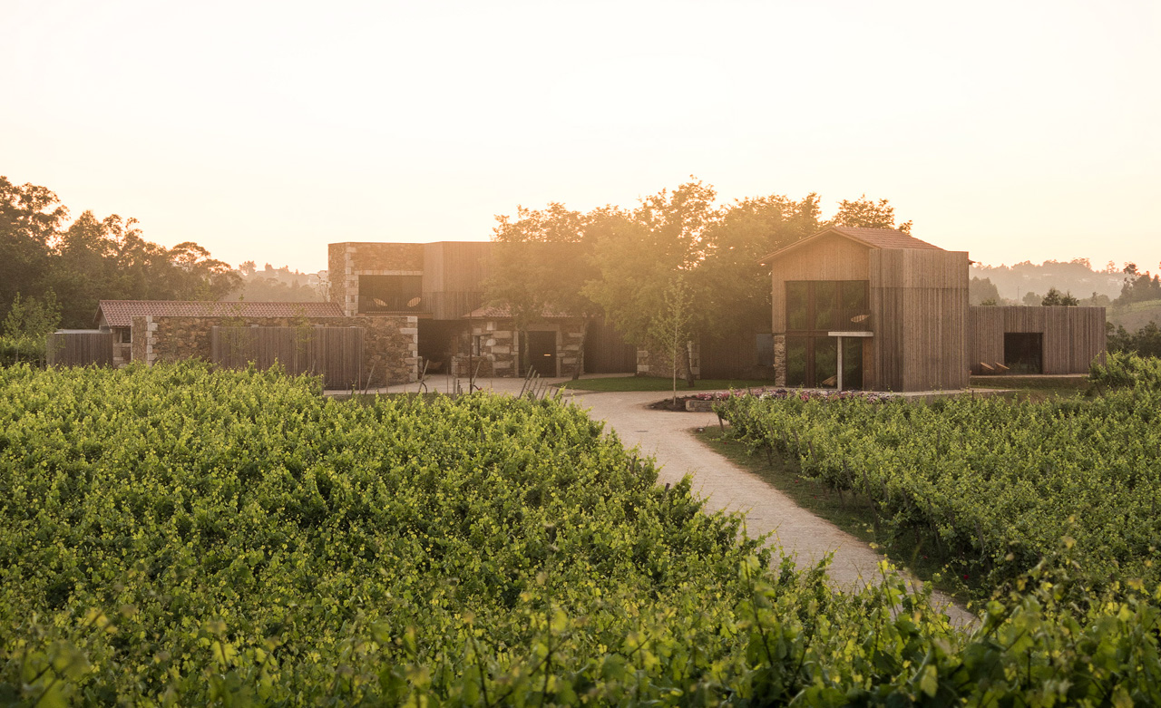 Monverde - Wine Experience Hotel foto 17