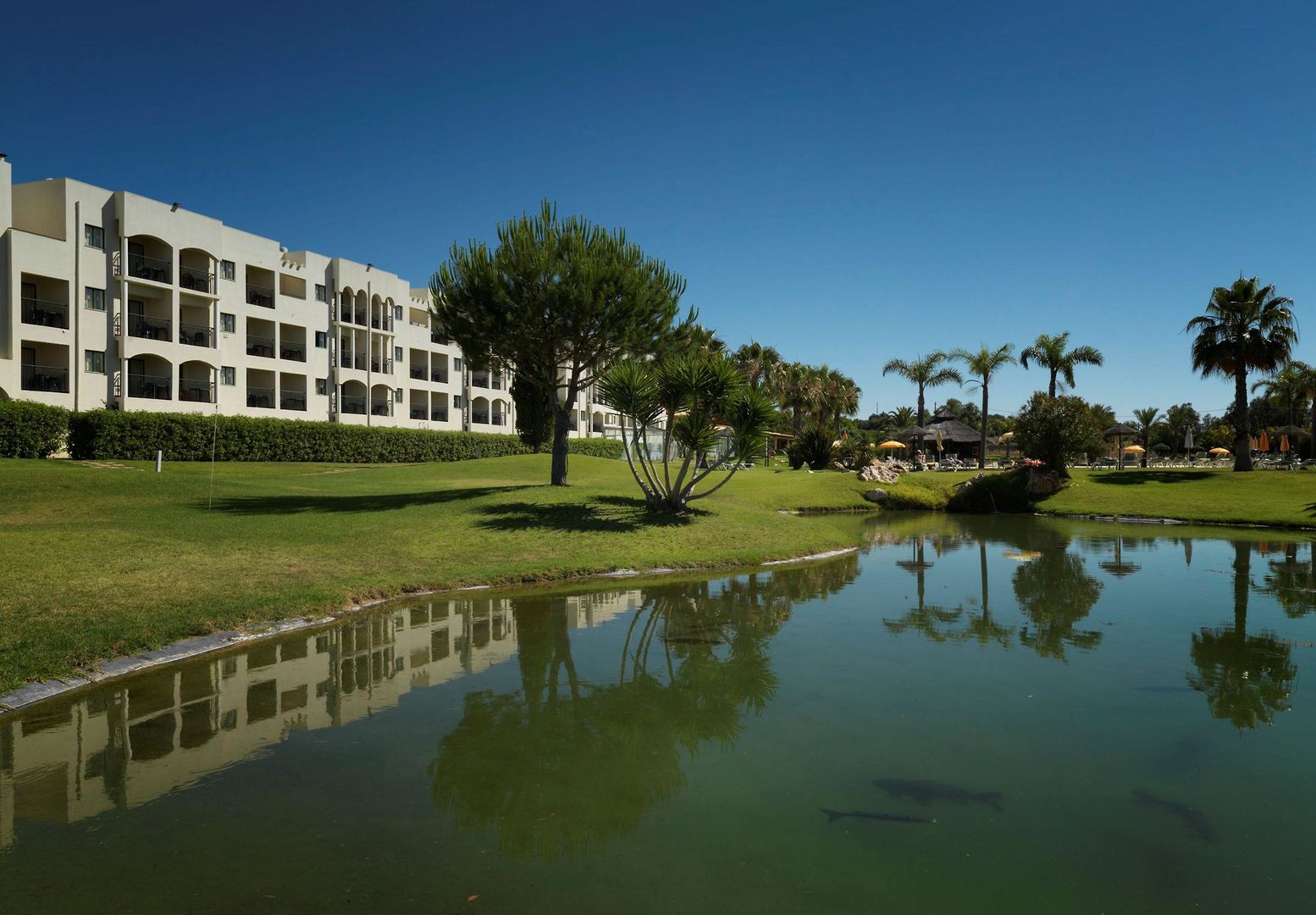 The Navigator - Palm Oasis Alvor foto 20