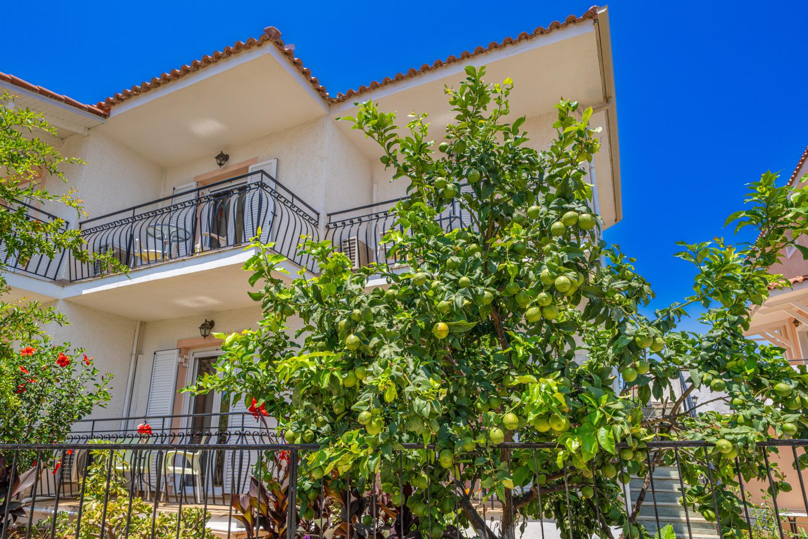 Dionysios Studios foto 12