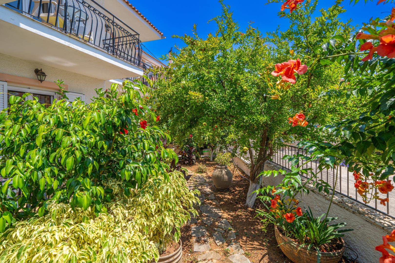 Dionysios Studios foto 15