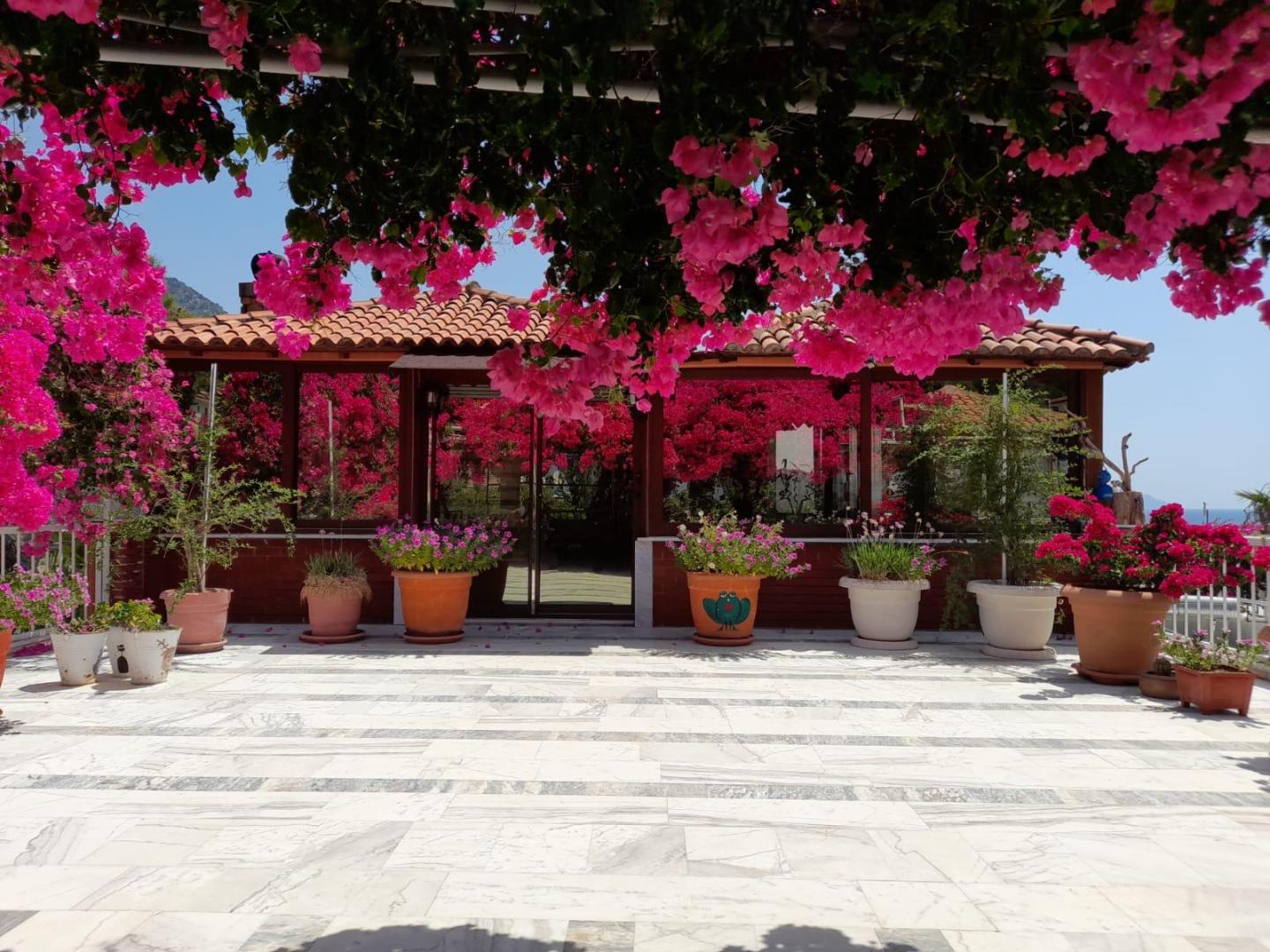 Akdeniz Hotel foto 15