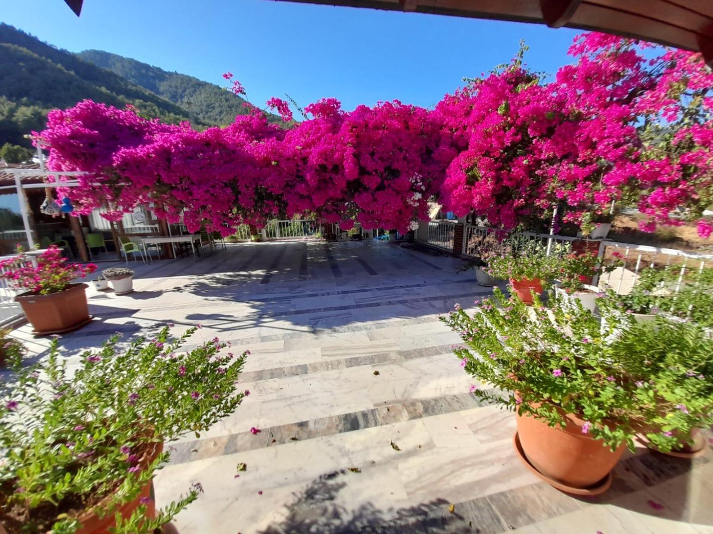 Akdeniz Hotel foto 12