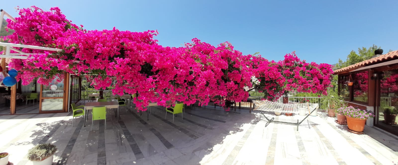 Akdeniz Hotel foto 14