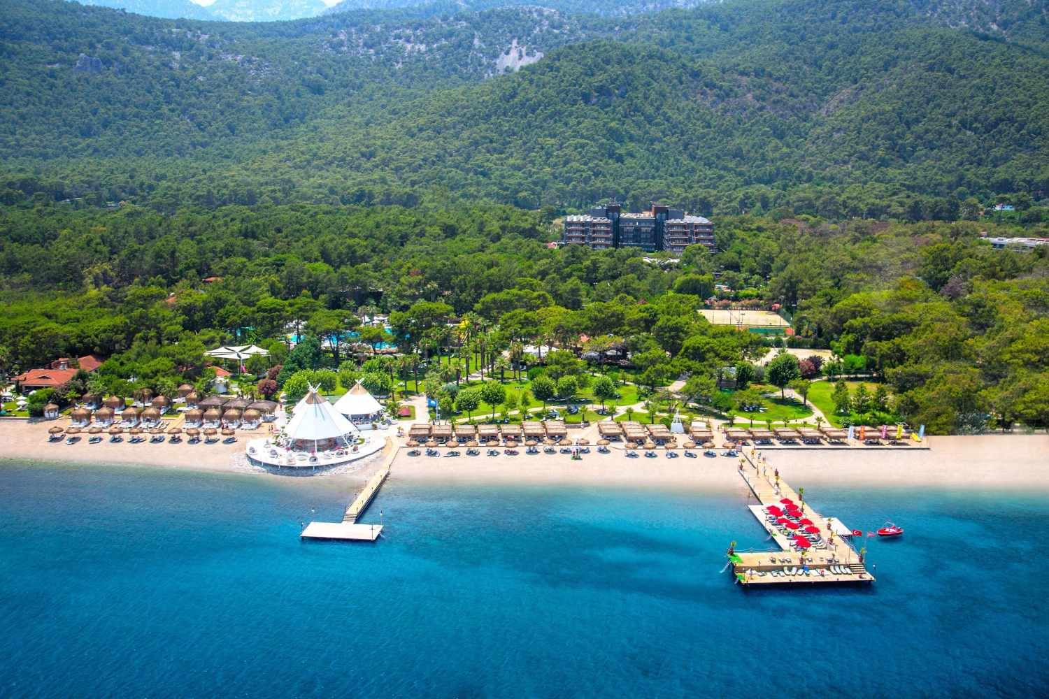 Balmy Foresta image 0