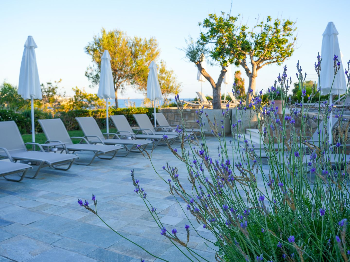 Thalassa Boutique Hotel & Spa foto 23