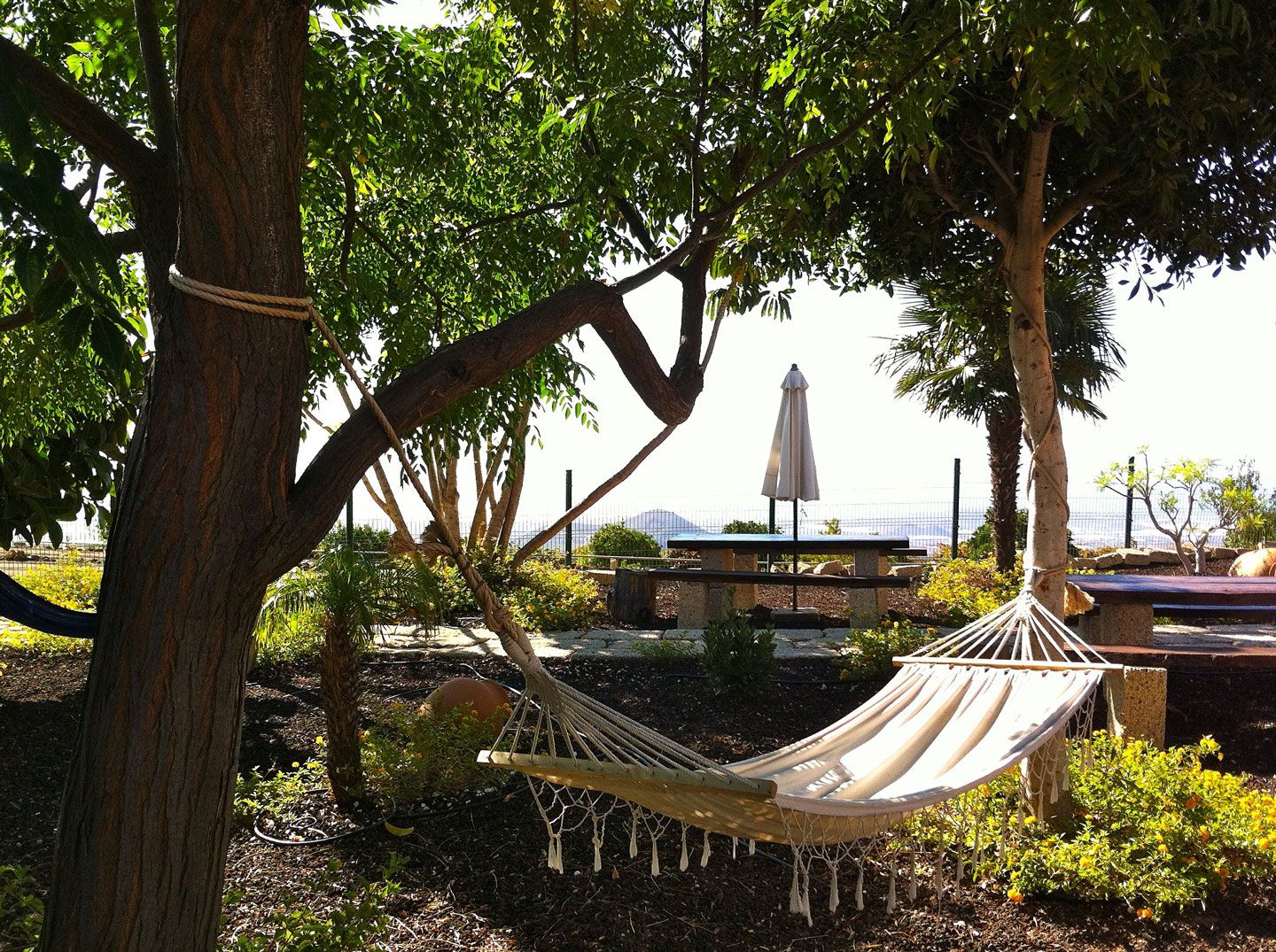 Finca Vista Bonita foto 21