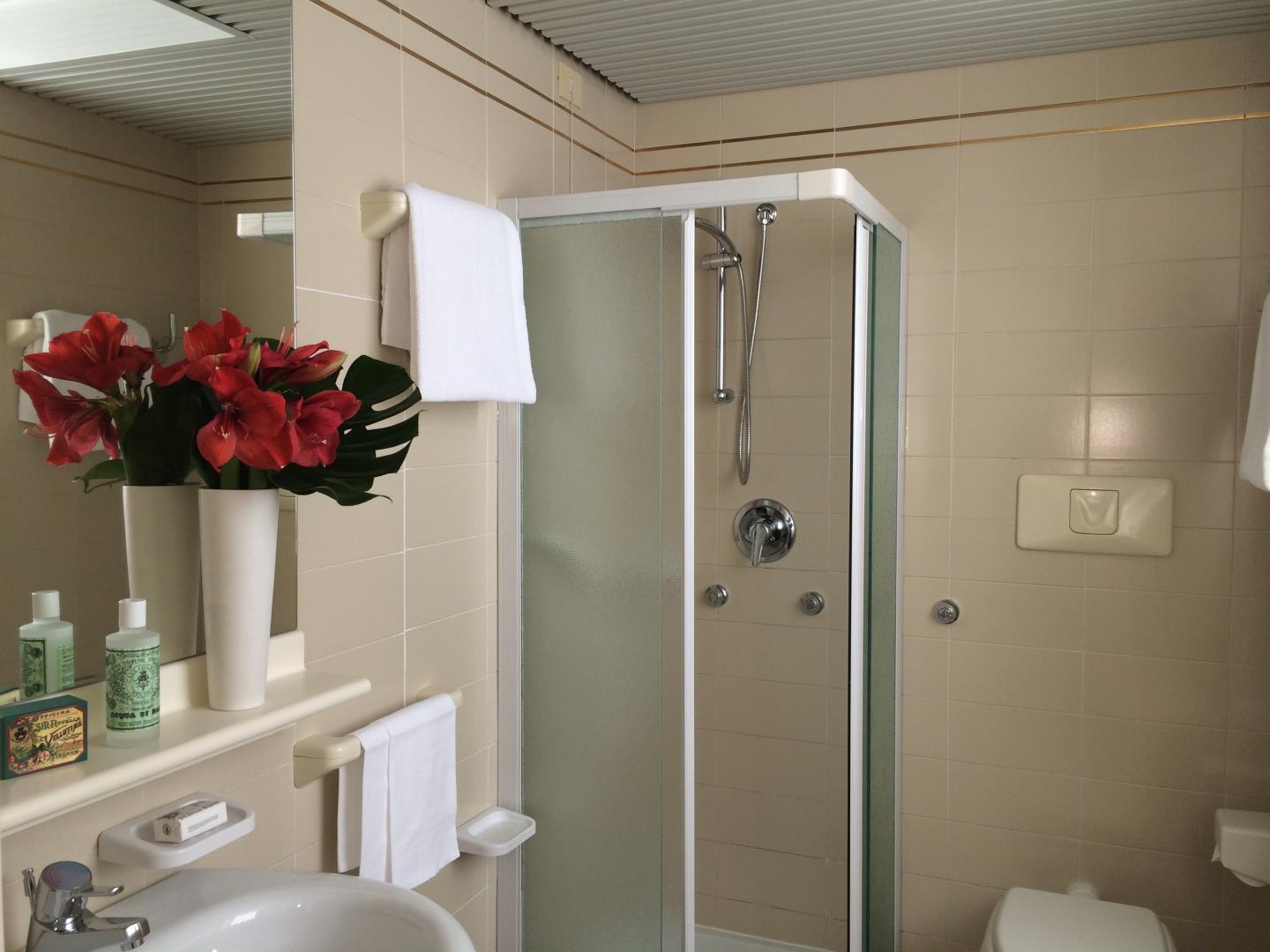 Starhotels Cristallo Palace image 1