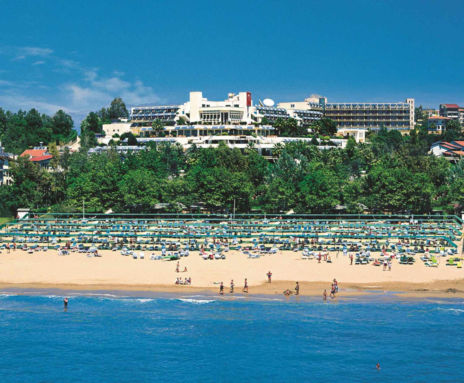 Side Star Elegance image 0