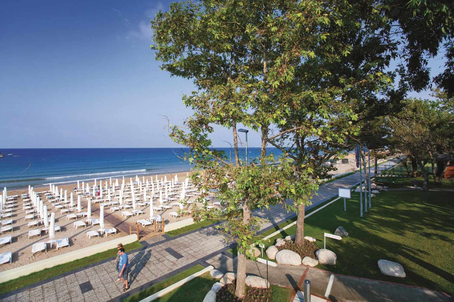 Side Star Elegance image 1