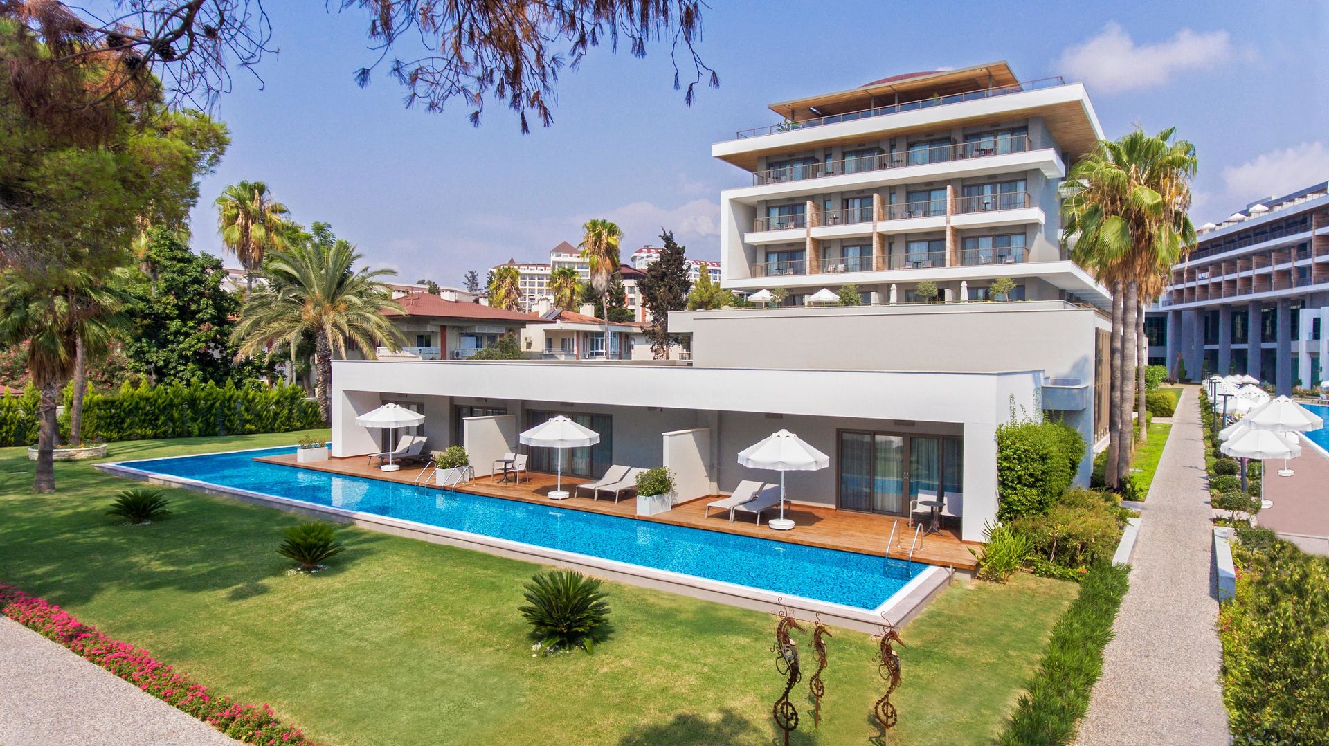 Acanthus Cennet Barut Collection foto 11
