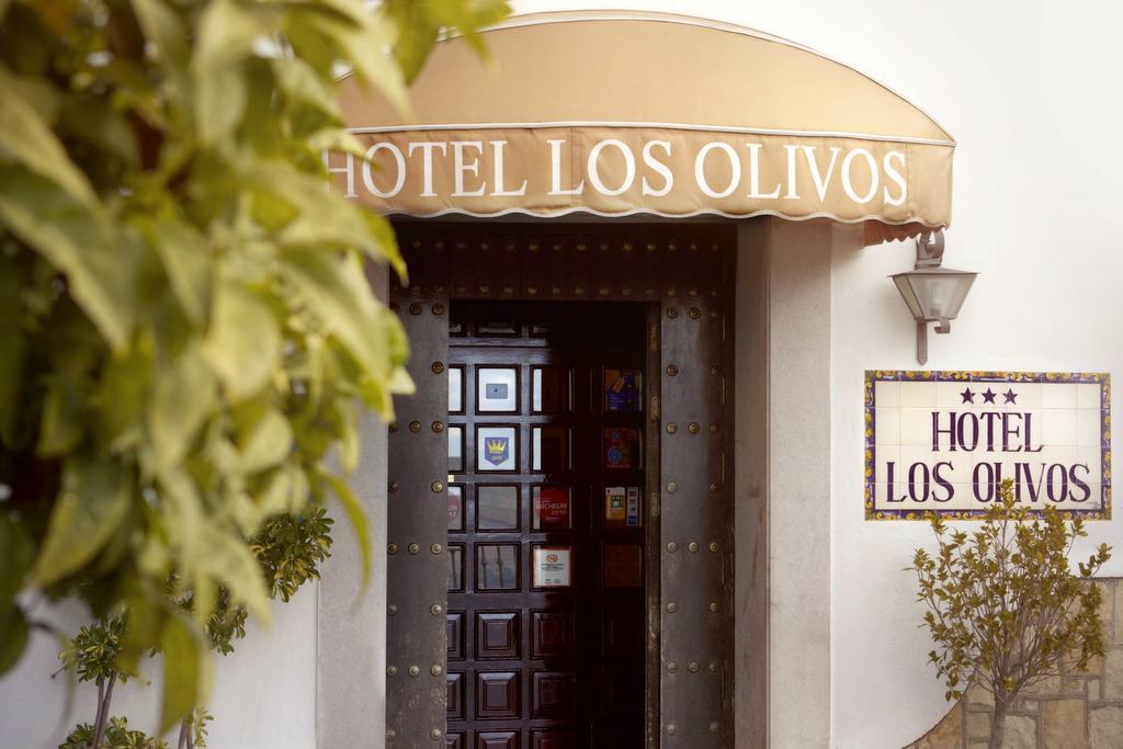 Los Olivos foto 17