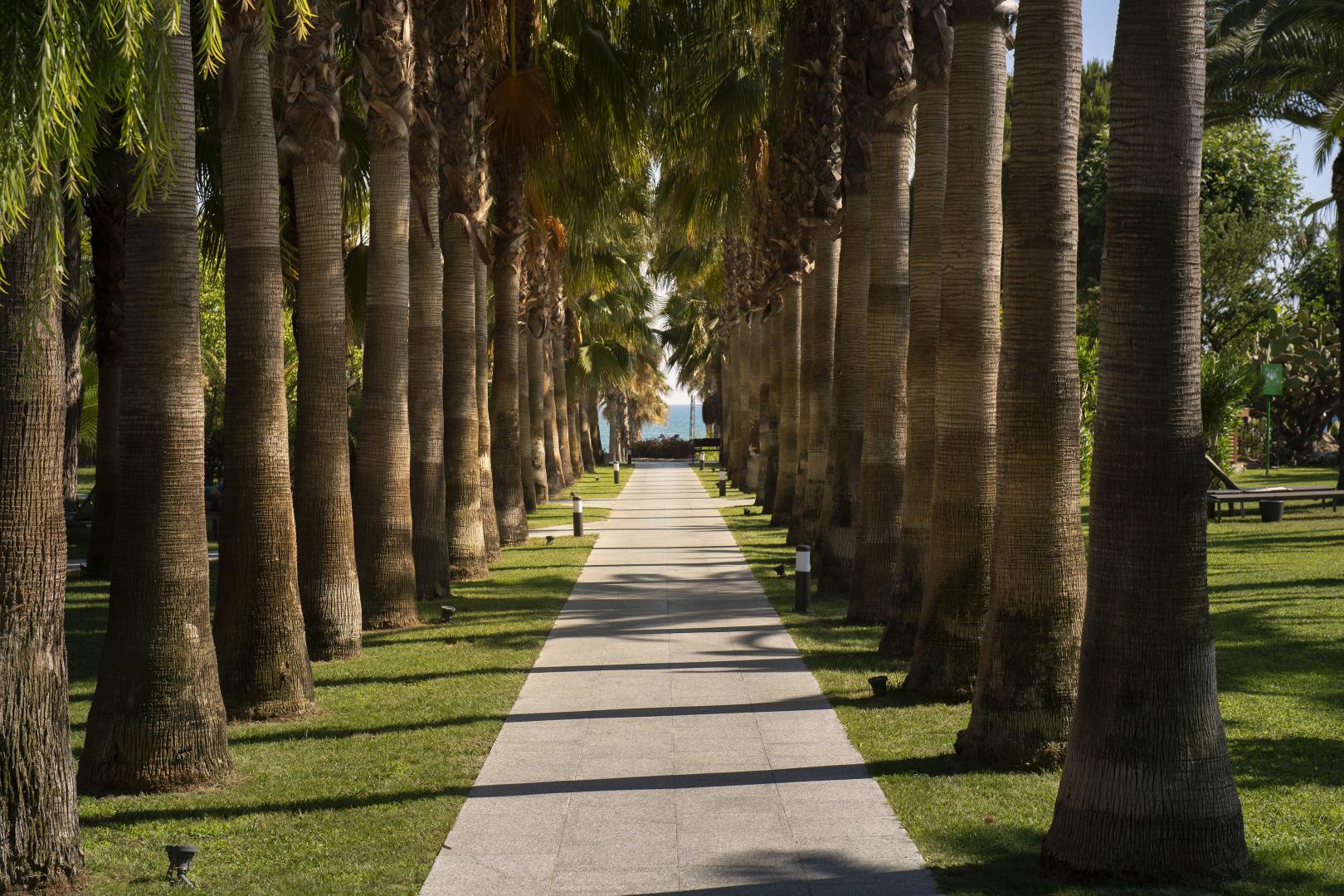 Miramare Beach Hotel foto 38