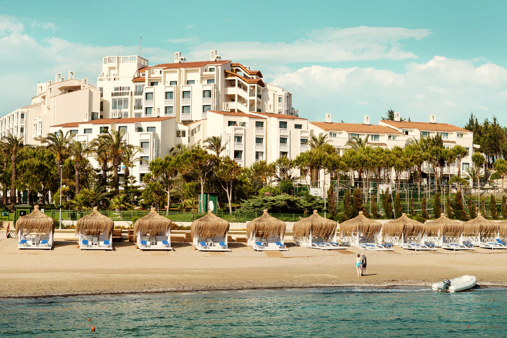 Paloma Perissia image 1