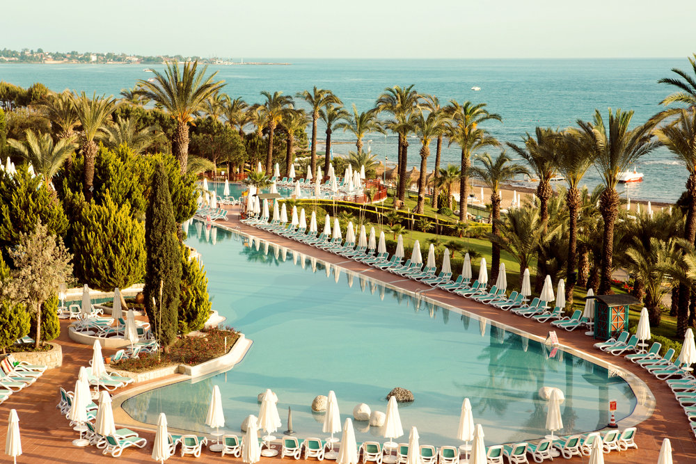 Paloma Perissia image 3