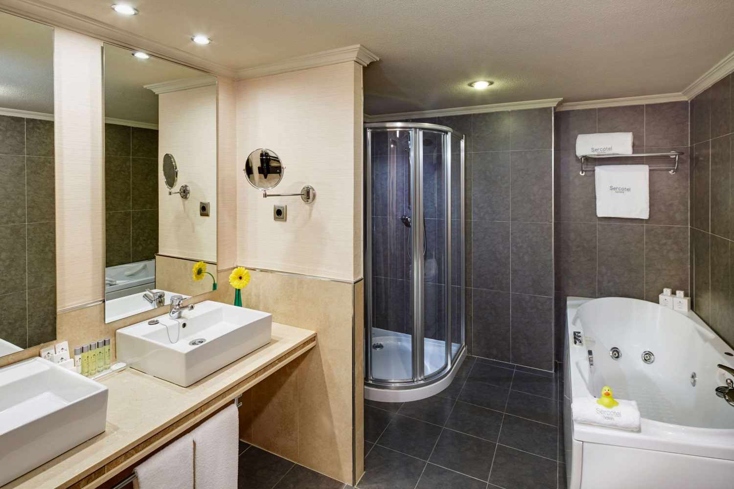 Sercotel Gran Hotel Zurbarán foto 32