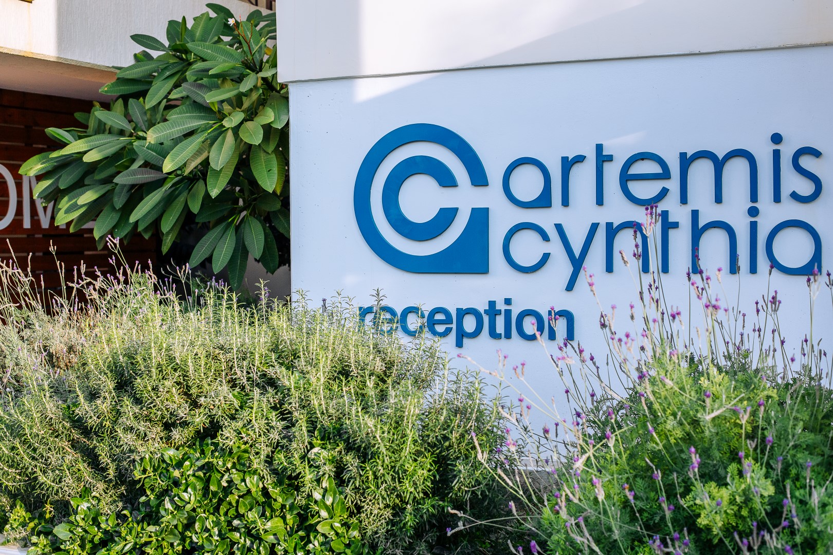 Artemis Cynthia Complex foto 12