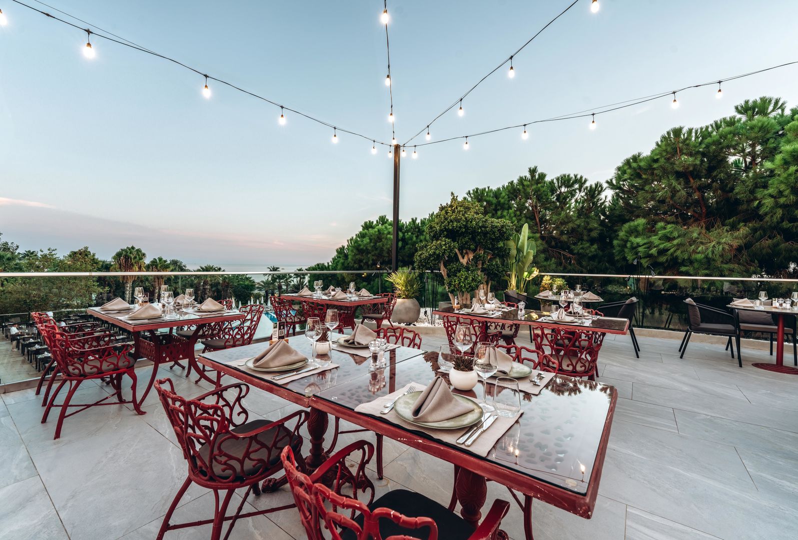 Paloma Oceana image 3