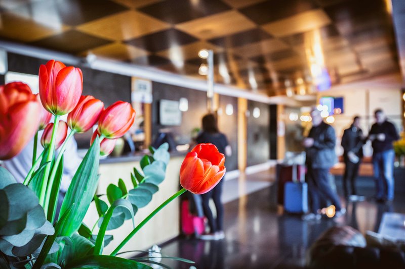 Best Western Plus Hotel Alfa Aeropuerto foto 104