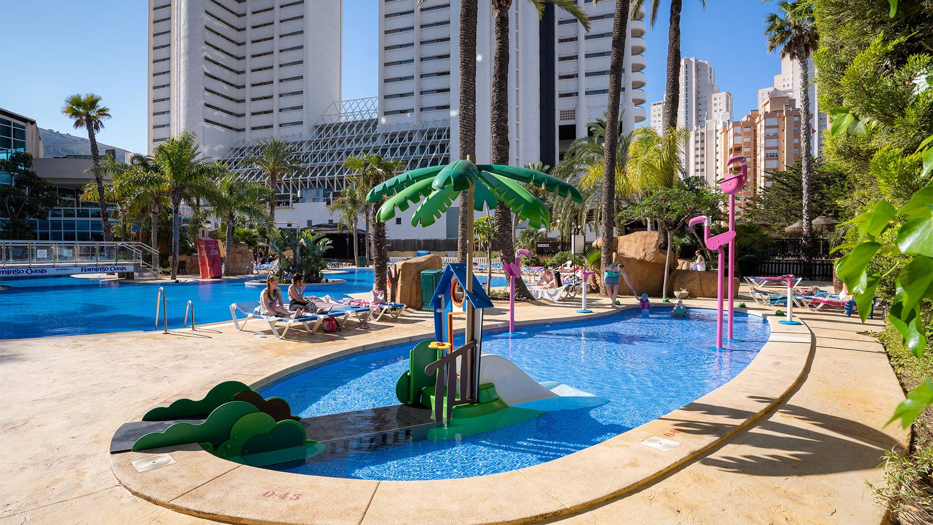 Flamingo Oasis foto 7
