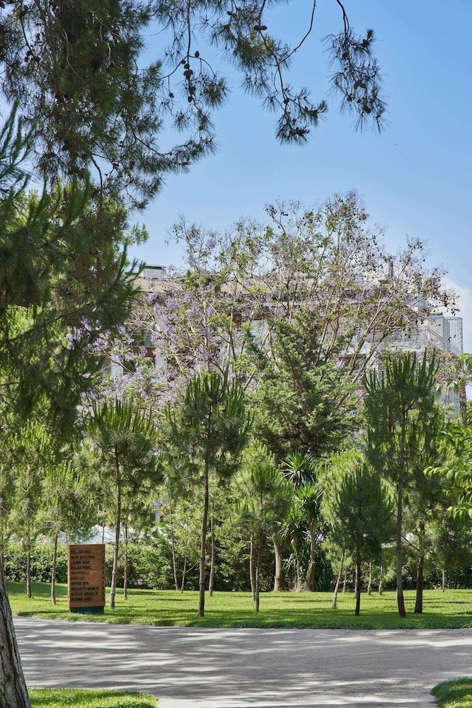 Voyage Sorgun foto 50