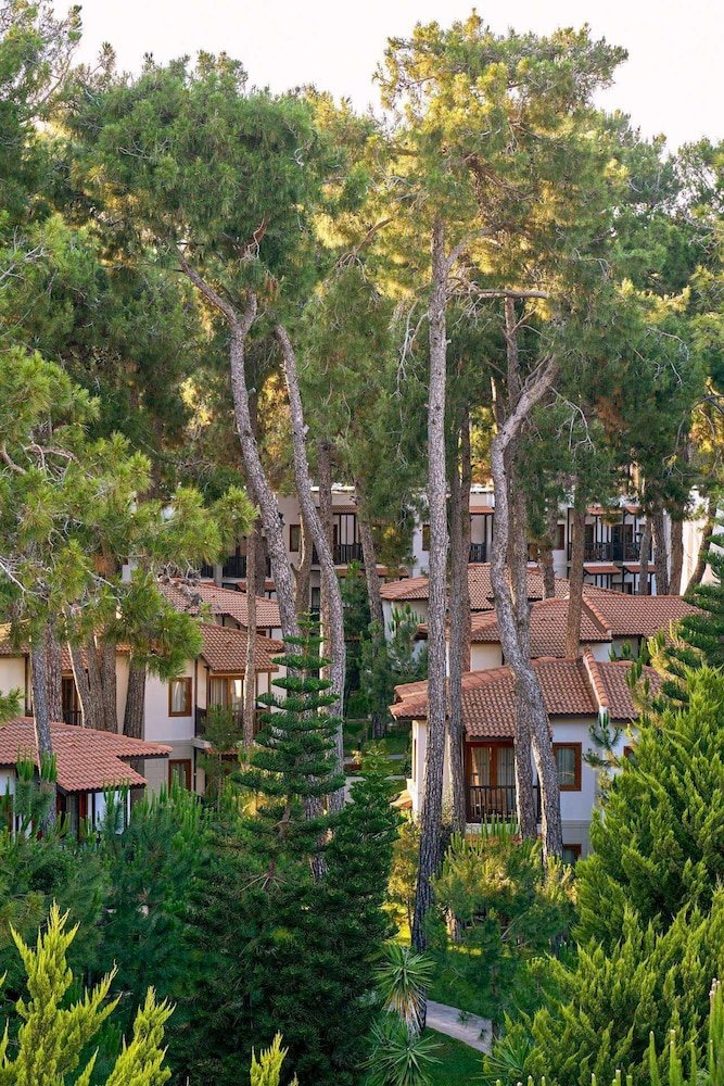 Voyage Sorgun foto 46