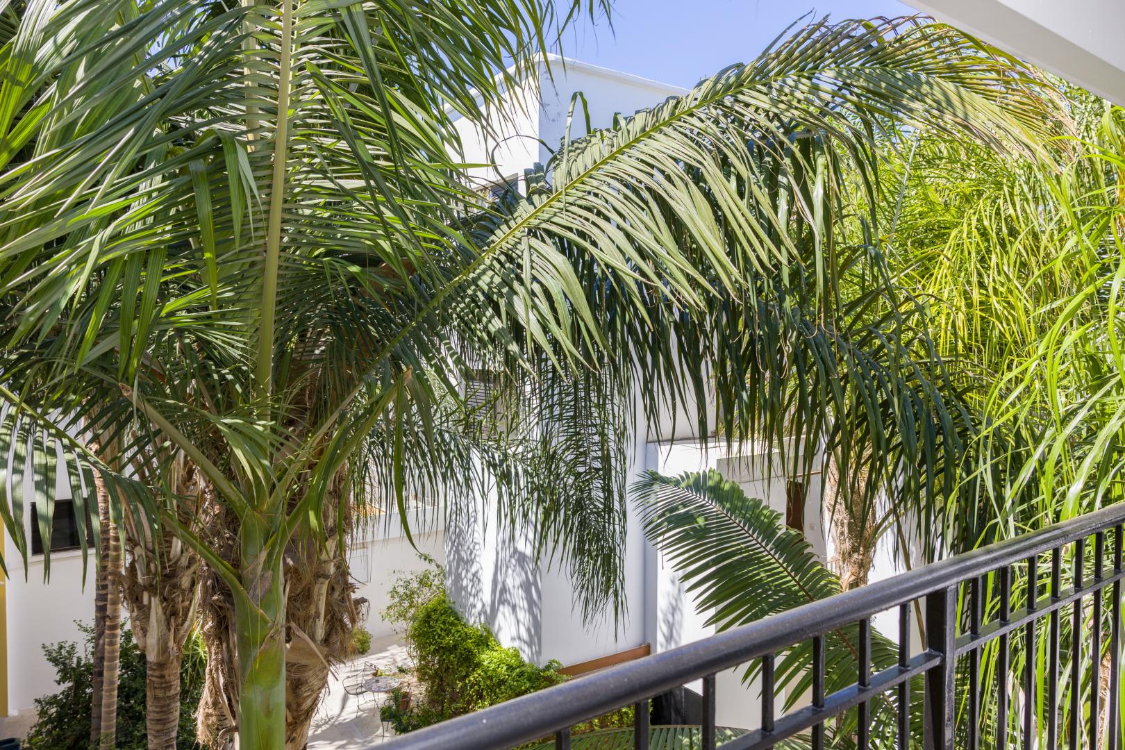 Alecos Hotel Apartments foto 44