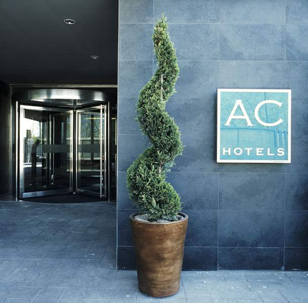 Hotel Eurostars Monte Real image 1