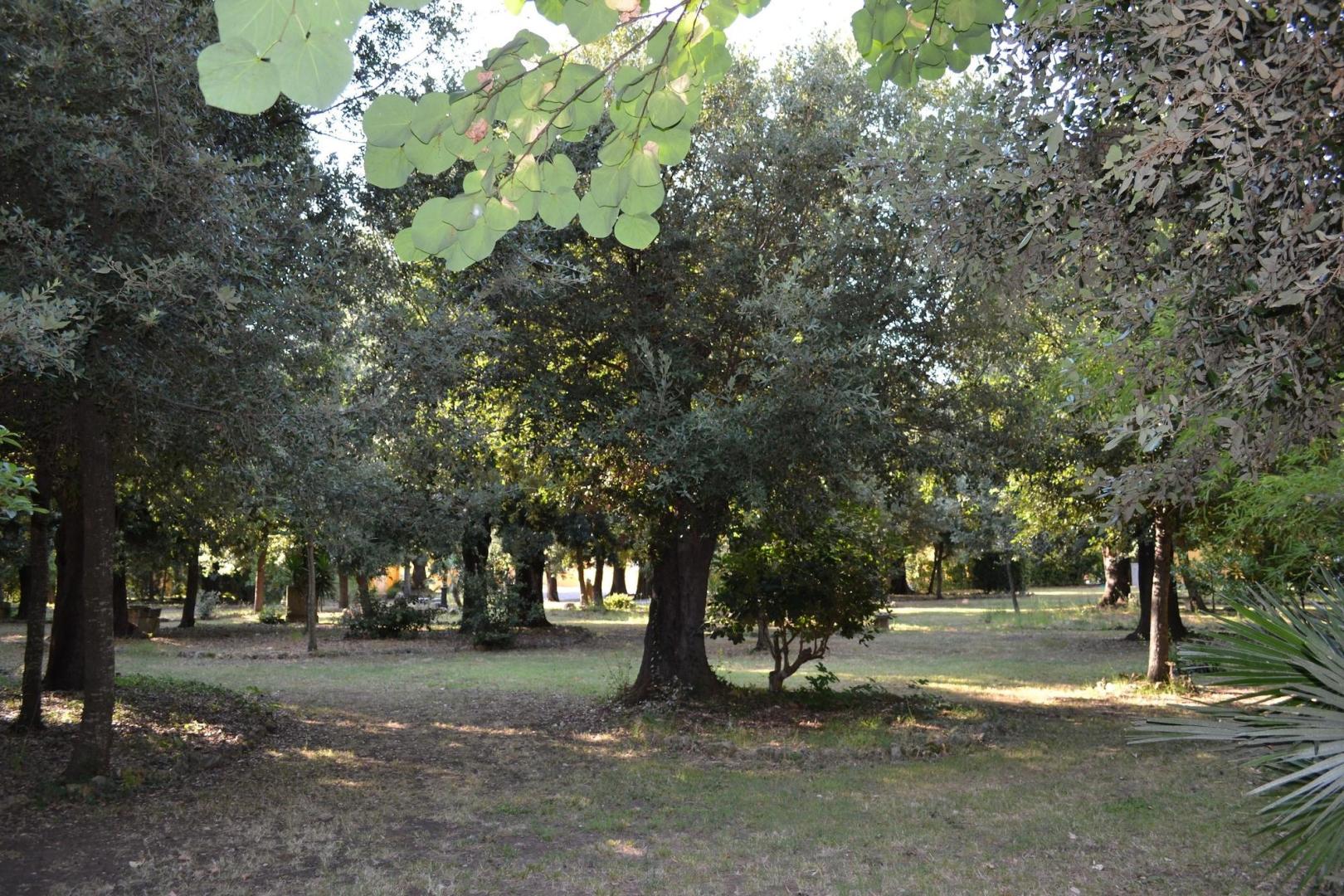 Agriturismo Villa Graziani foto 10