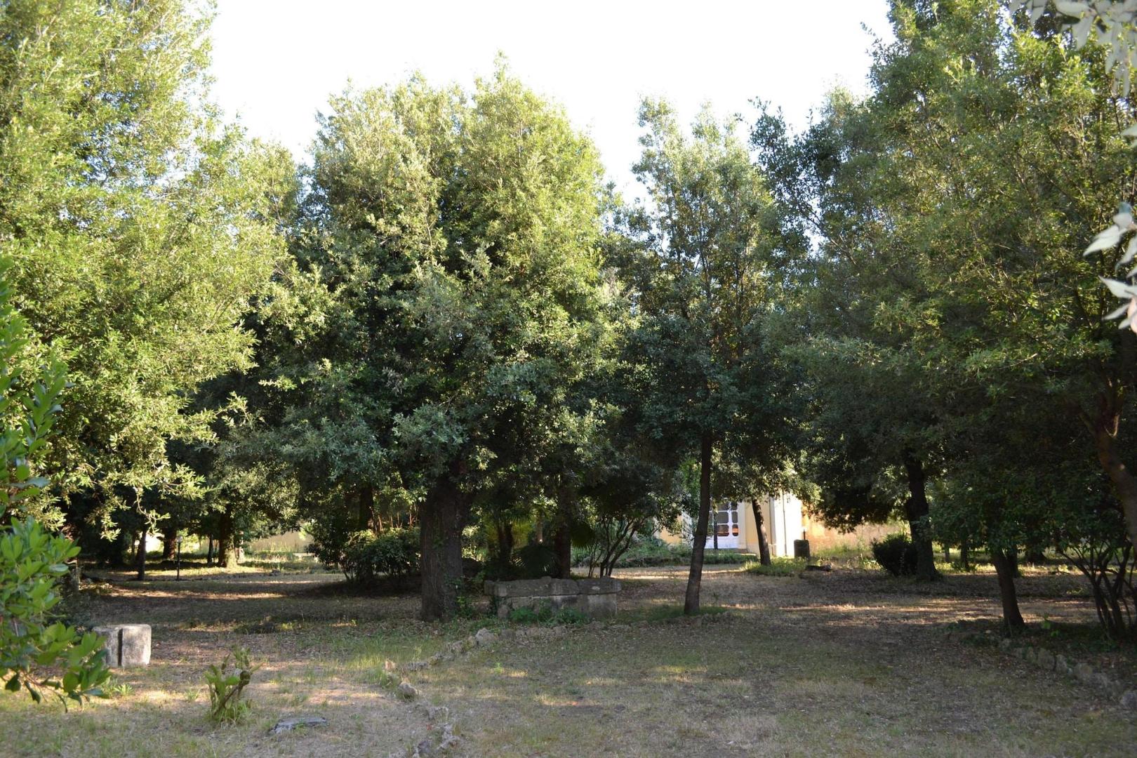 Agriturismo Villa Graziani foto 12