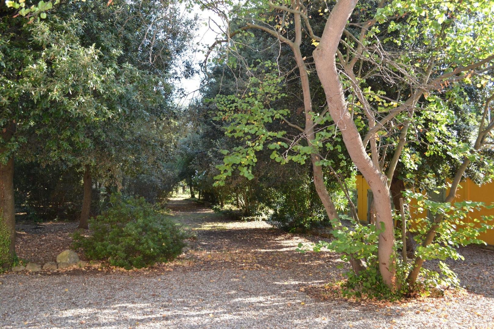 Agriturismo Villa Graziani foto 14