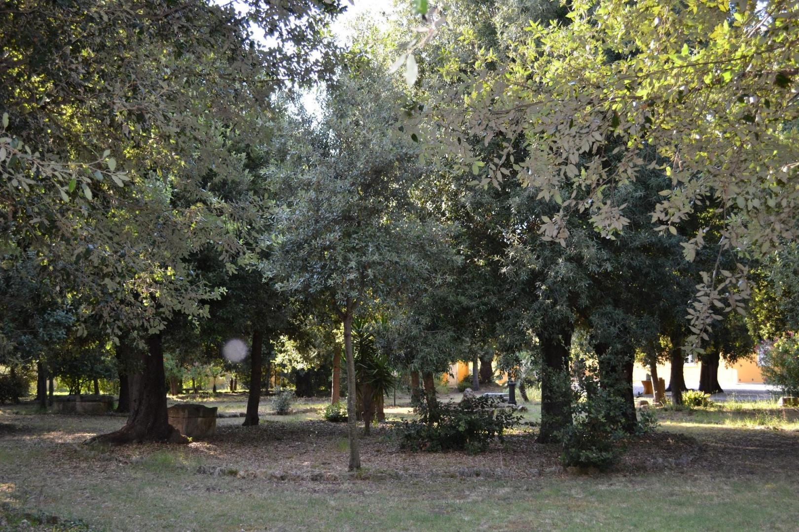 Agriturismo Villa Graziani foto 16
