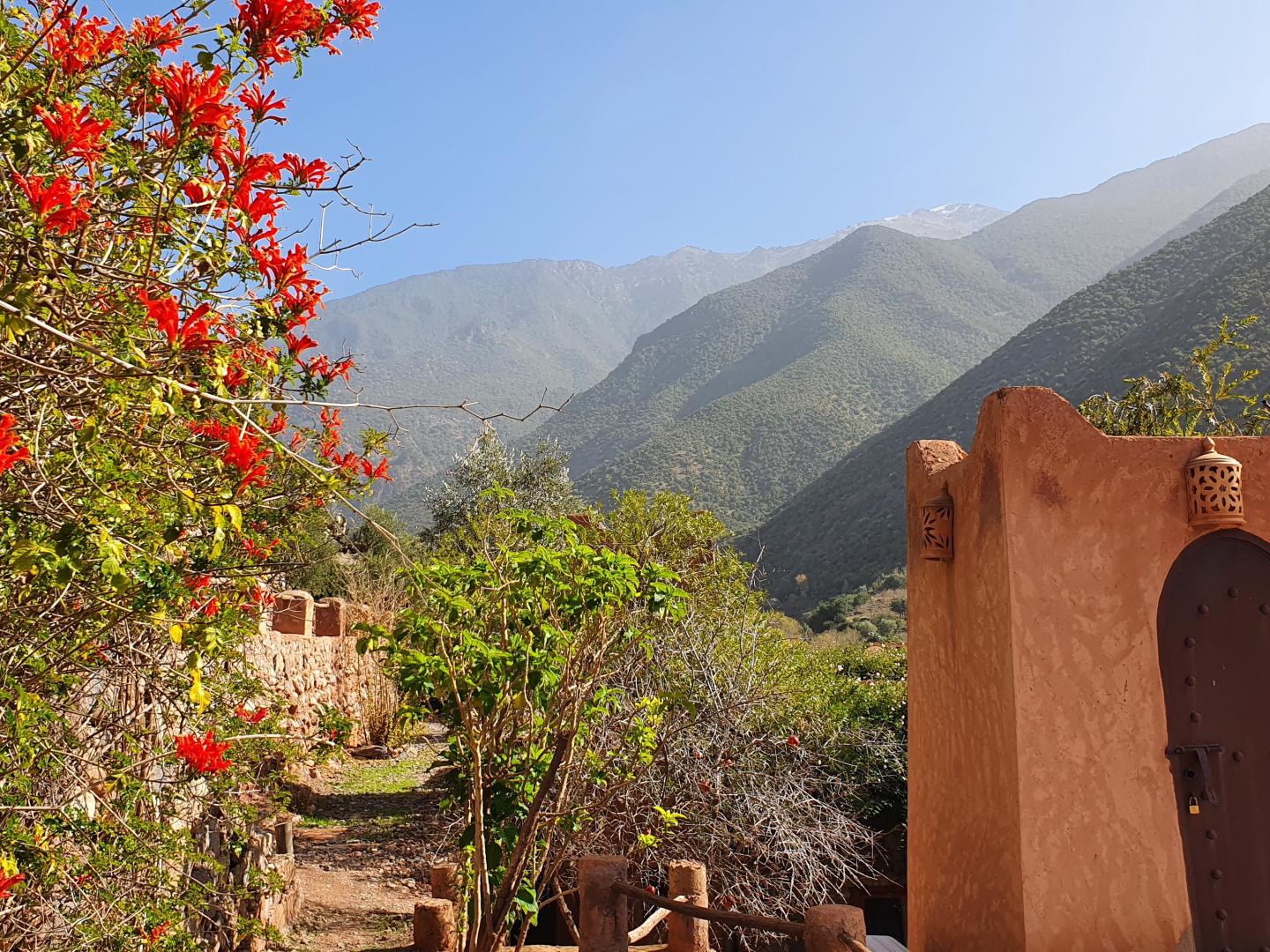 Kasbah Africa foto 13