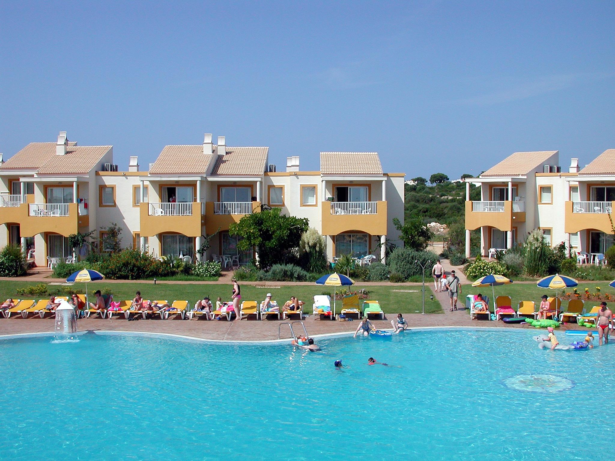 Comitas Isla del Aire.