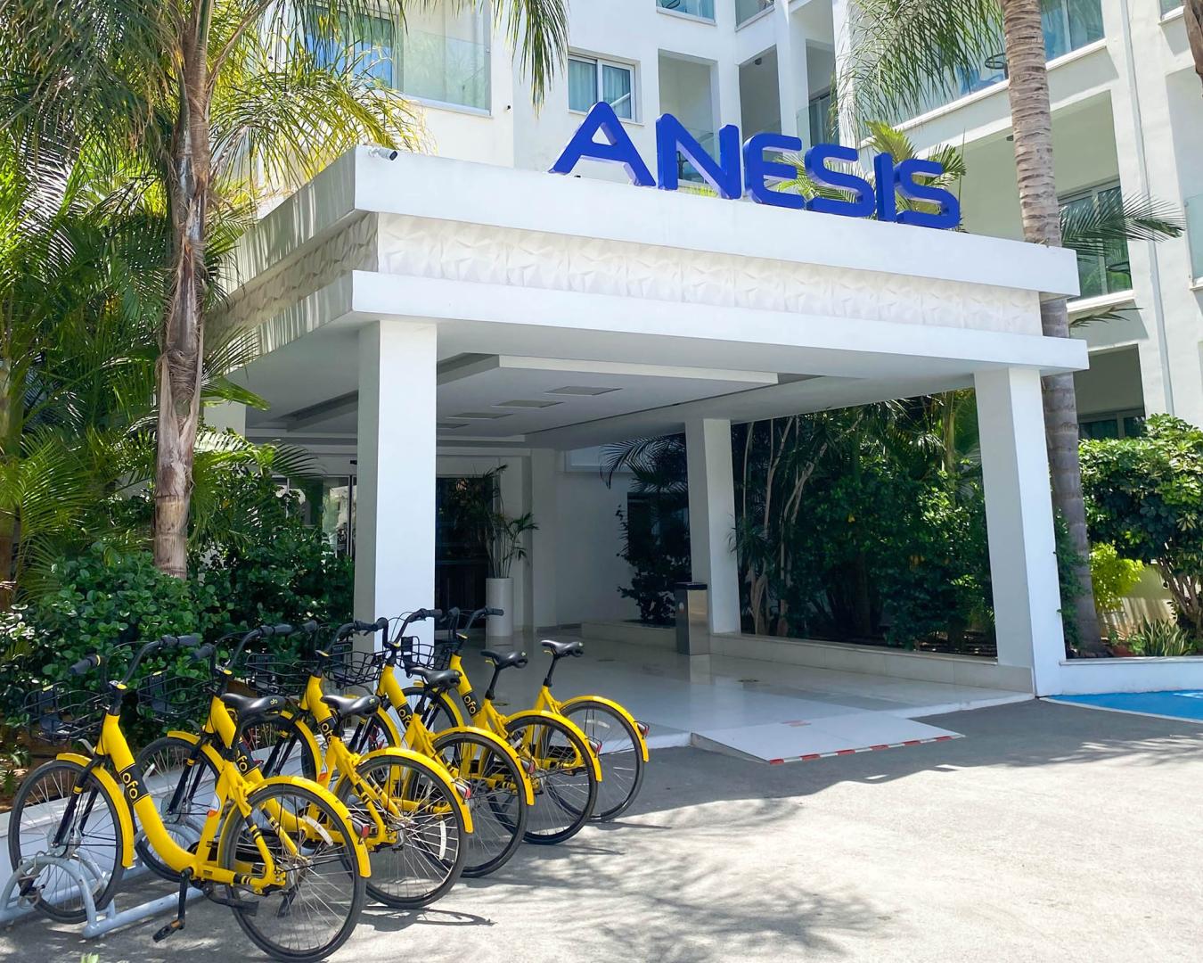 Anesis foto 29