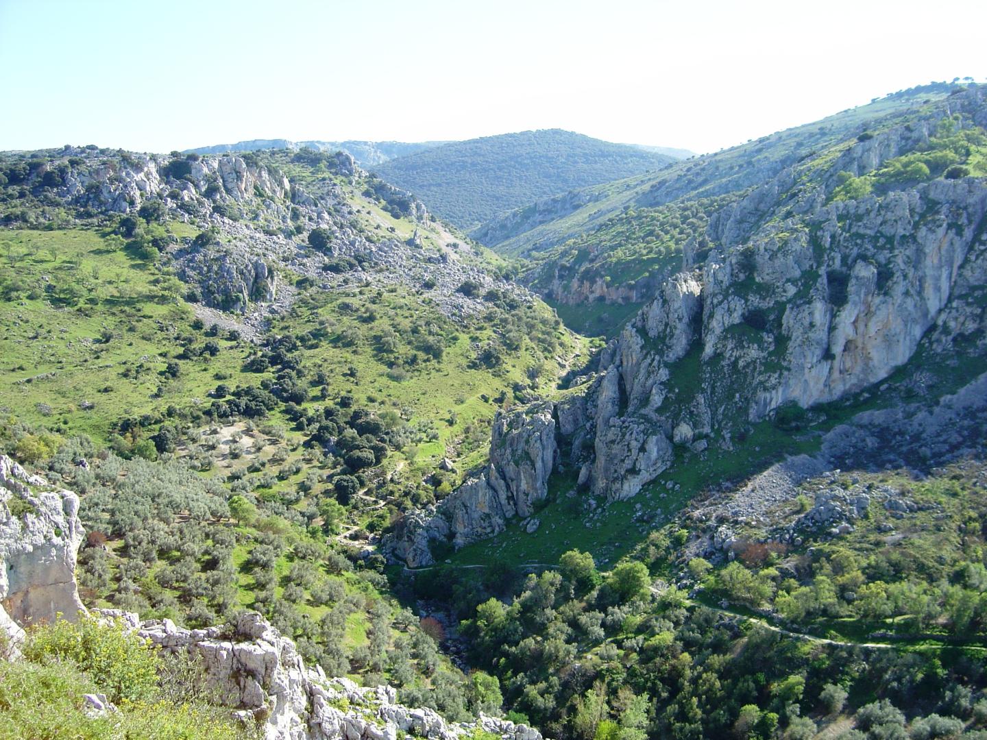 Rural Zuhayra foto 16