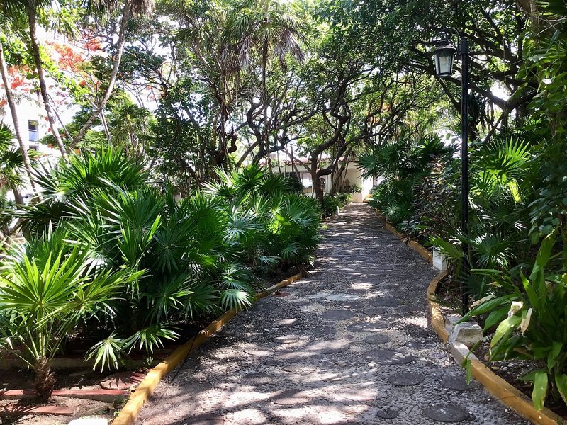 Hotel Faranda Maya Caribe Cancún foto 16