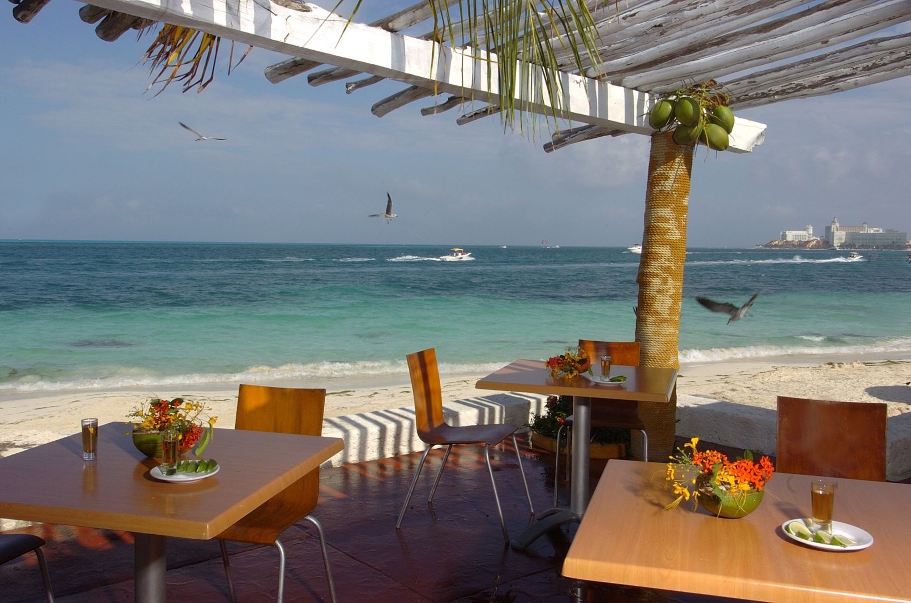 Hotel Faranda Maya Caribe Cancún foto 15