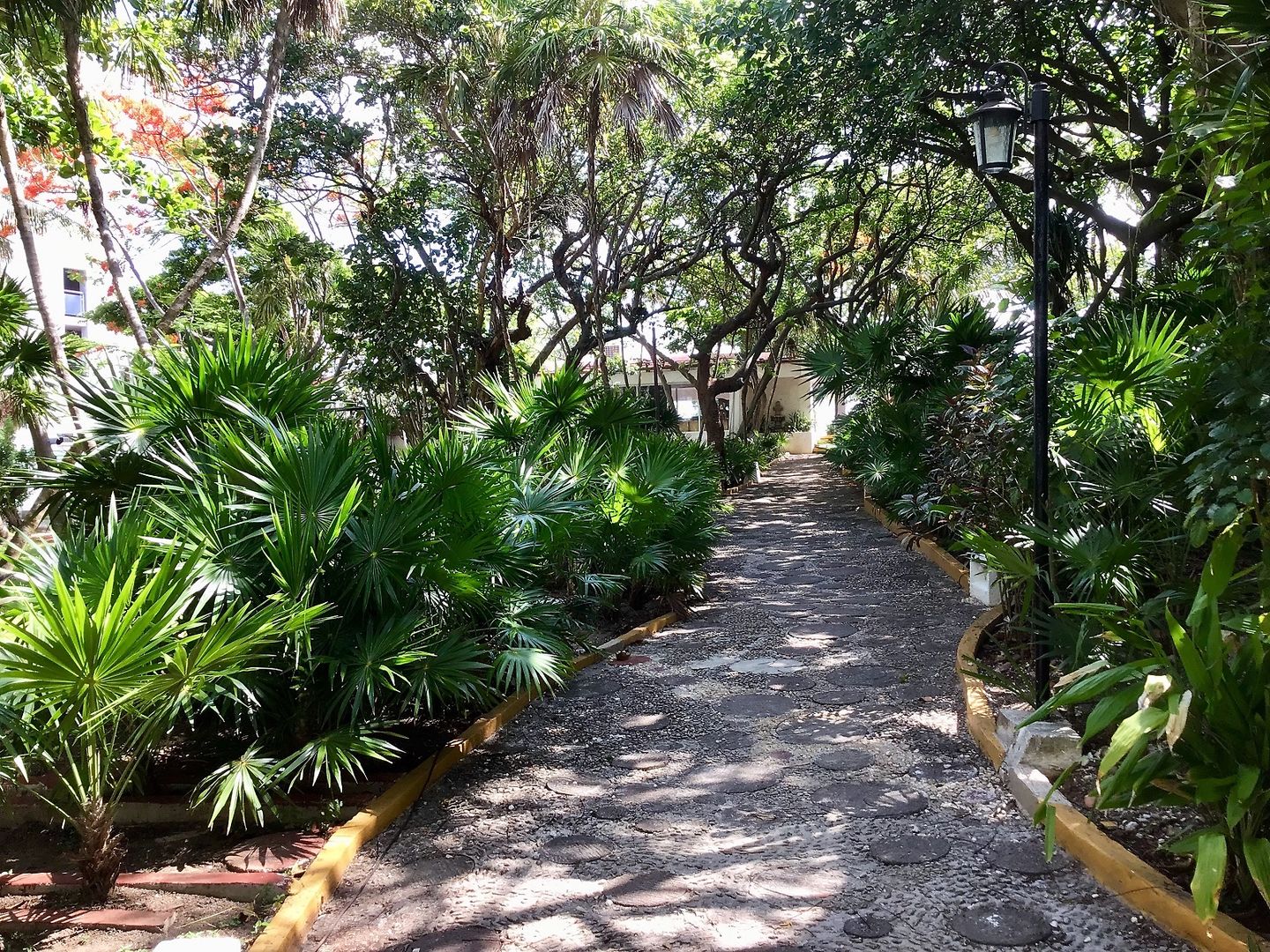 Hotel Faranda Maya Caribe Cancún foto 17
