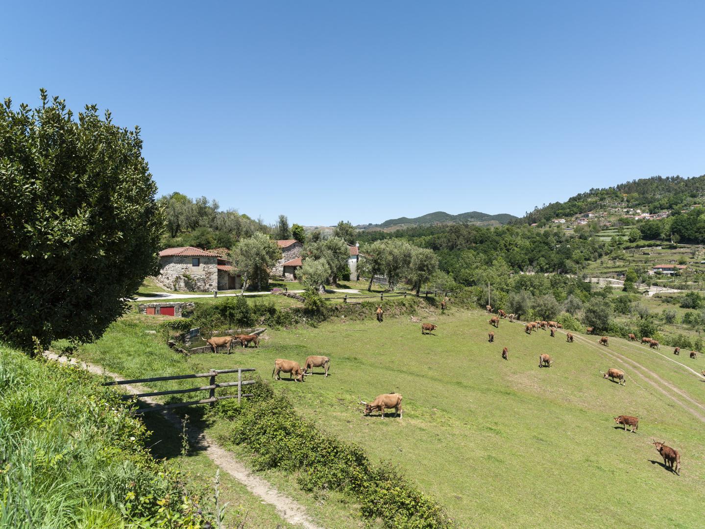 Quinta do Rapozinho foto 11