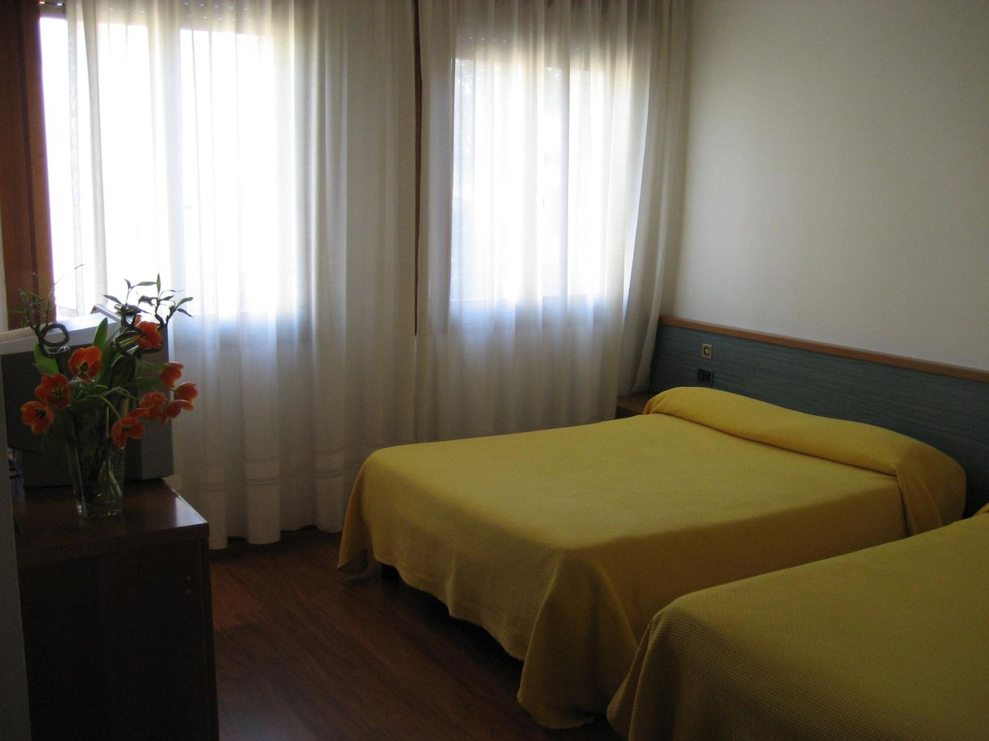 Vienna image 1