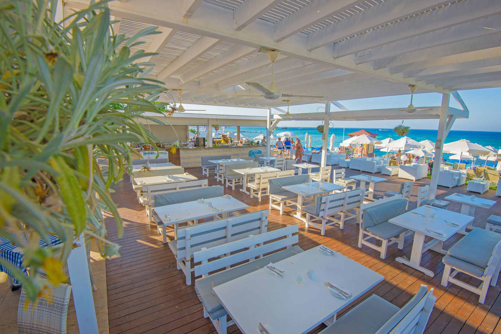 Silver Sands Beach Hotel foto 8