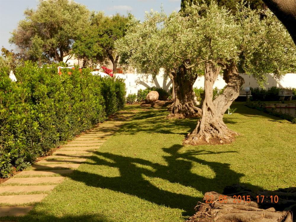 Residence Villa Collina foto 29