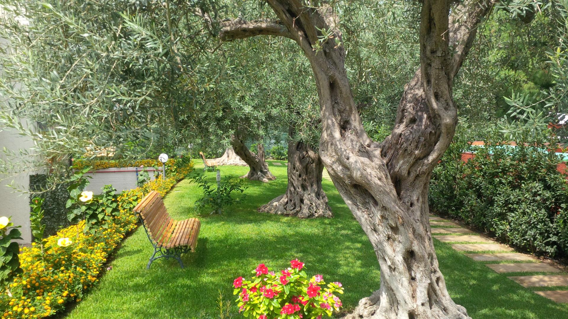 Residence Villa Collina foto 34