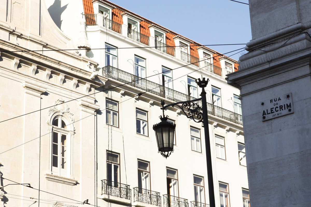 Alecrim Ao Chiado foto 13