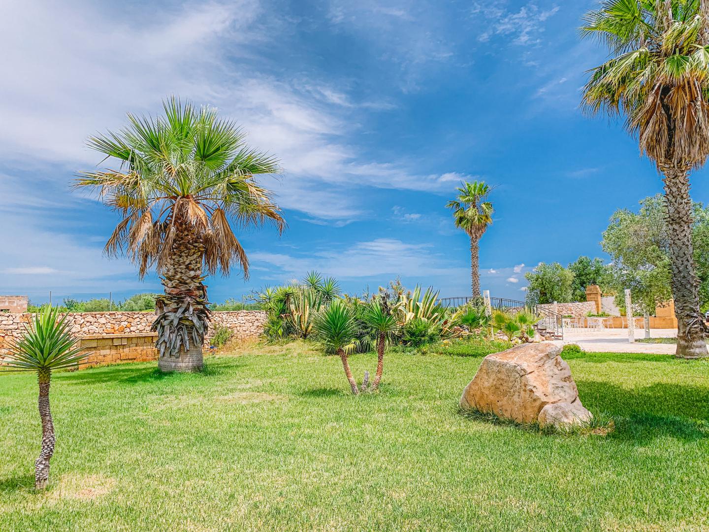 Masseria Tenuta Quintino foto 25