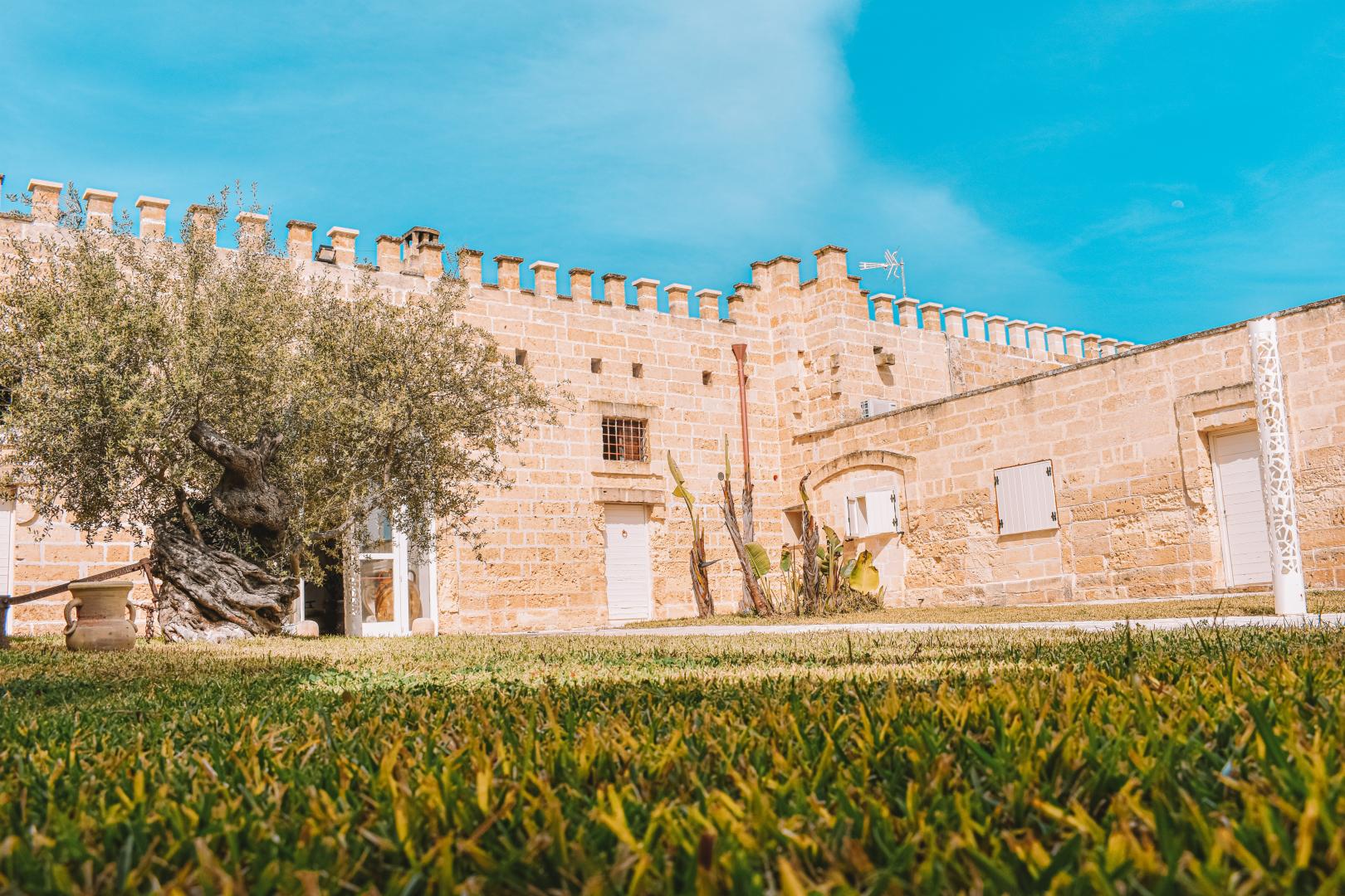 Masseria Tenuta Quintino foto 33