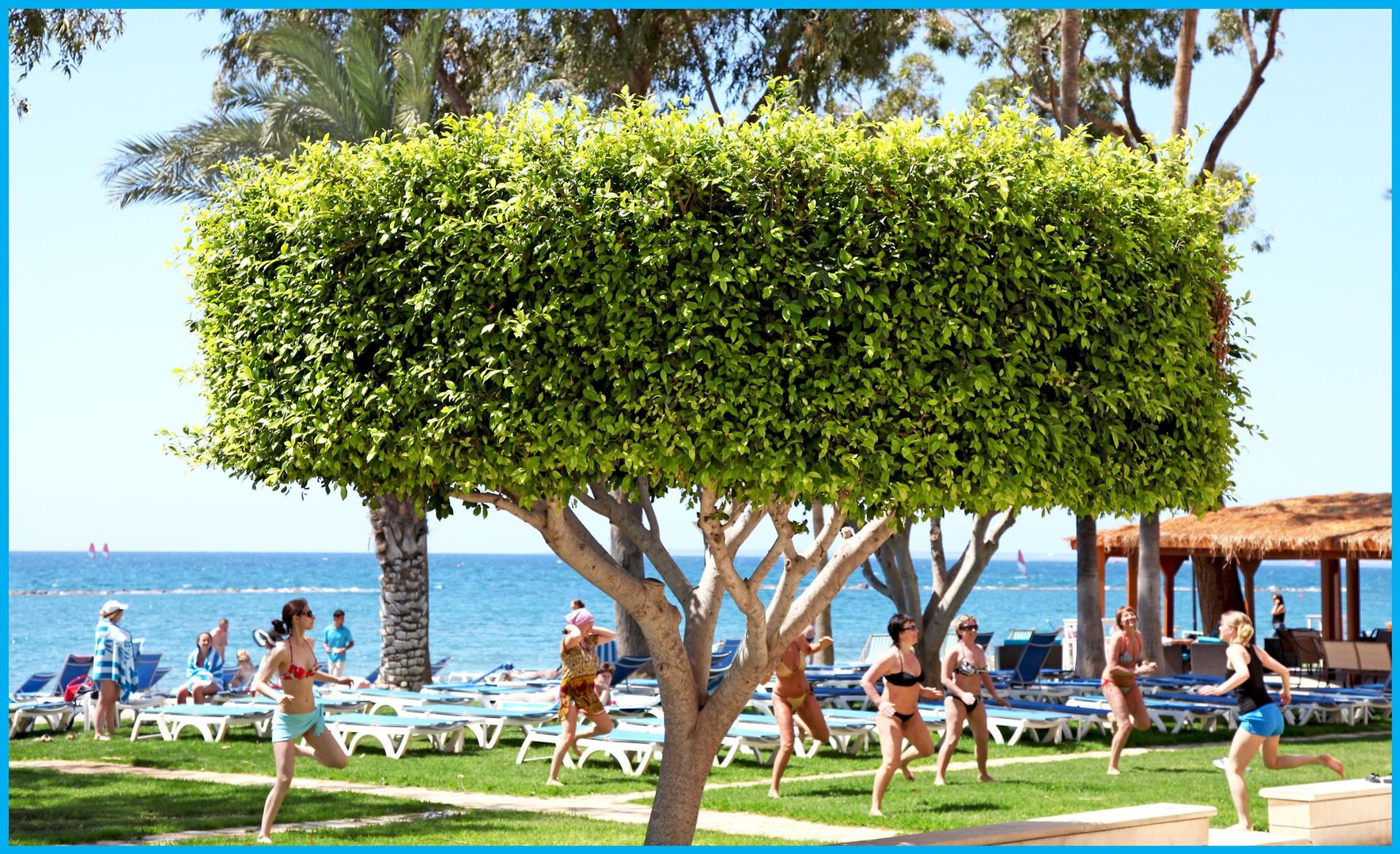 Poseidonia Beach Hotel foto 12